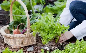  ������̳ 