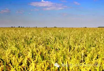  ������̳ 