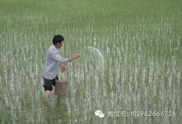  ������̳ 