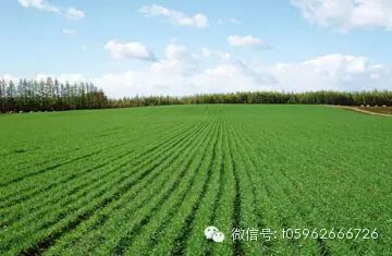  ������̳ 