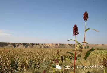  ������̳ 