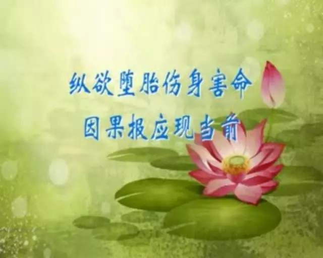 ��̥�ı�Ӧ