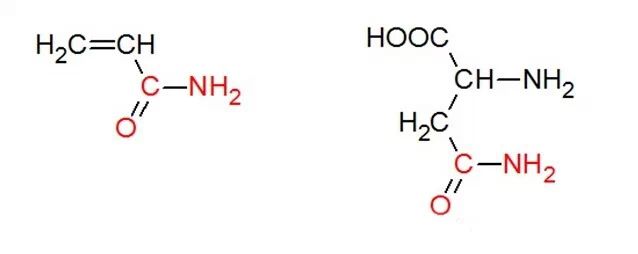 图1 丙烯酰胺(左)和天冬酰氨(右)的化学结构,红色标出的部分即为