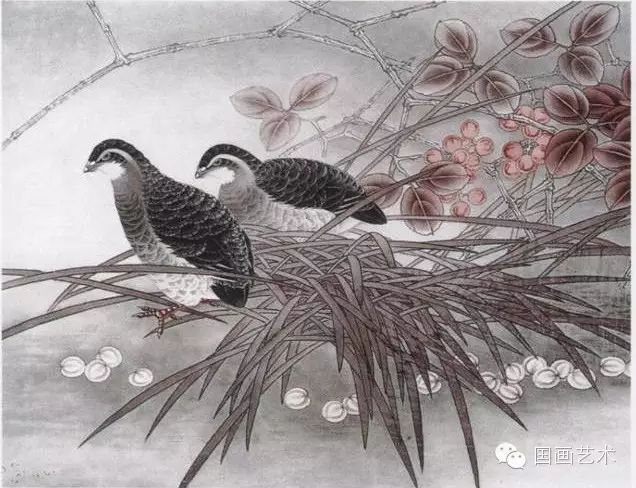 工笔鸽子,鹌鹑技法教程
