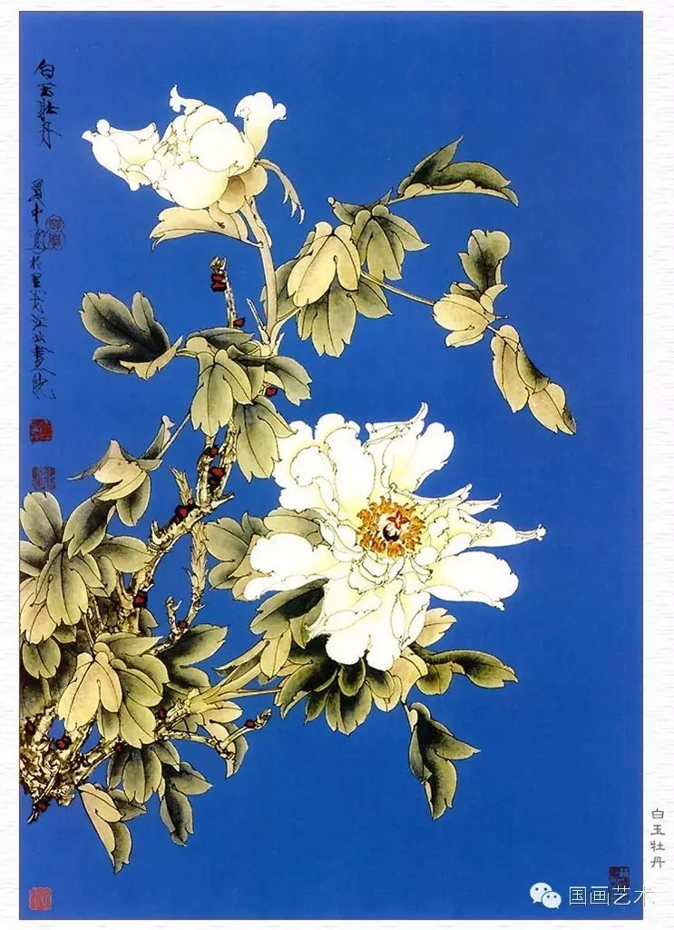 【近当代名家】王道中工笔牡丹欣赏