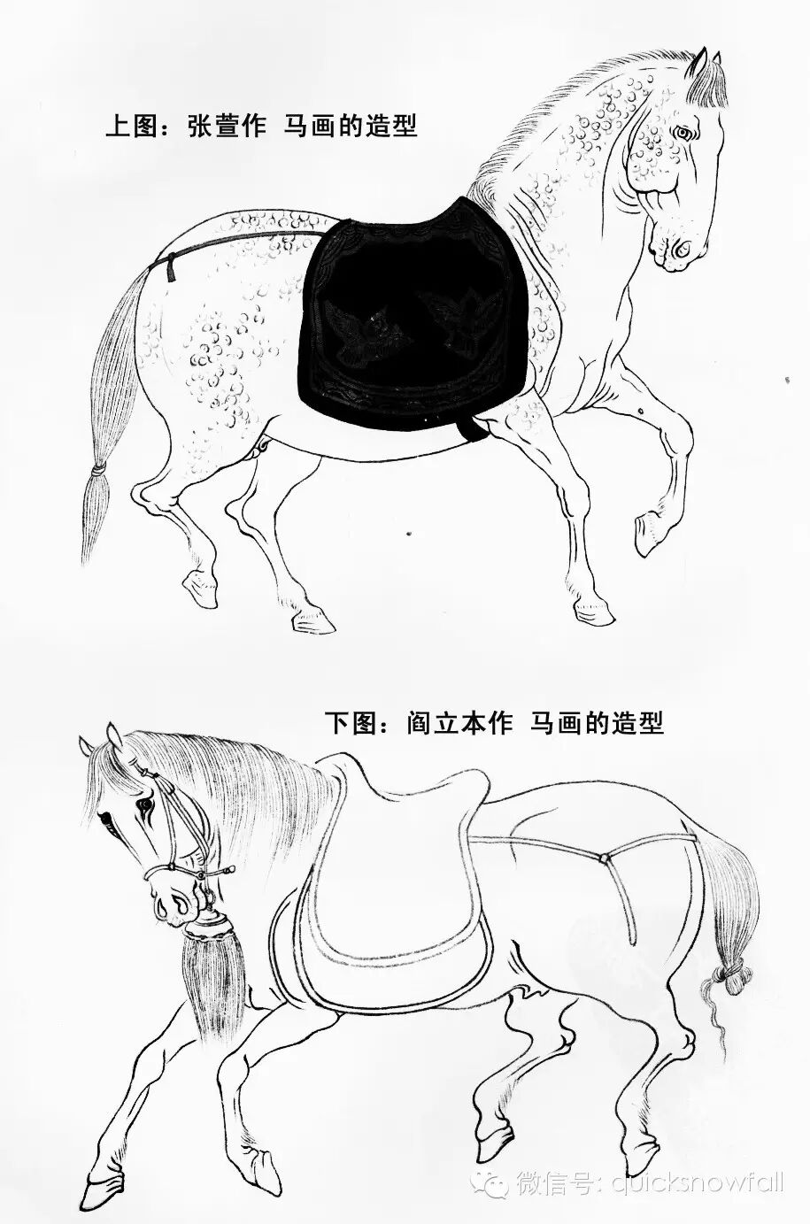 画马超级教程：徐悲鸿画马技法（上篇）