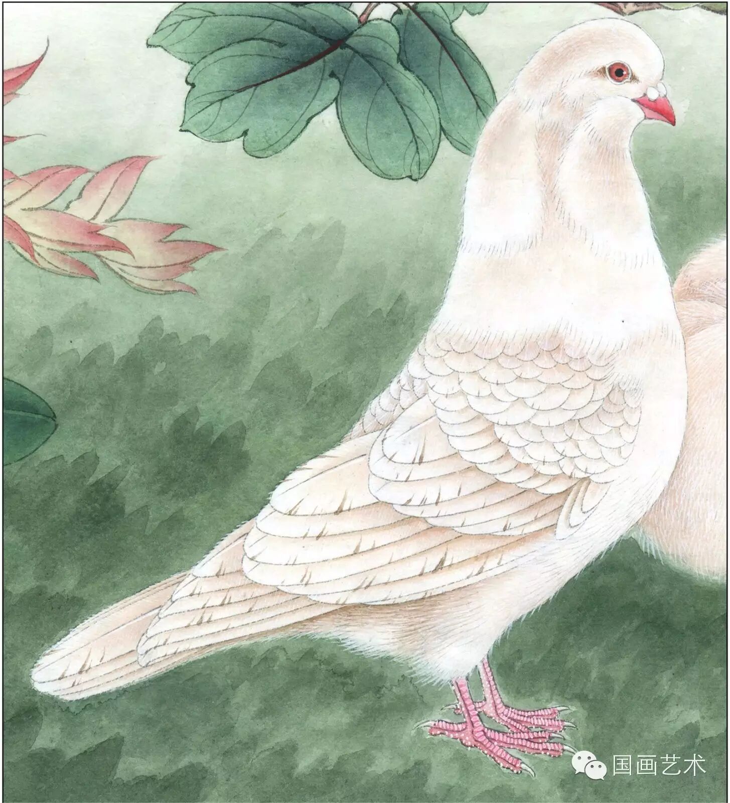 24种鸟类工笔教程