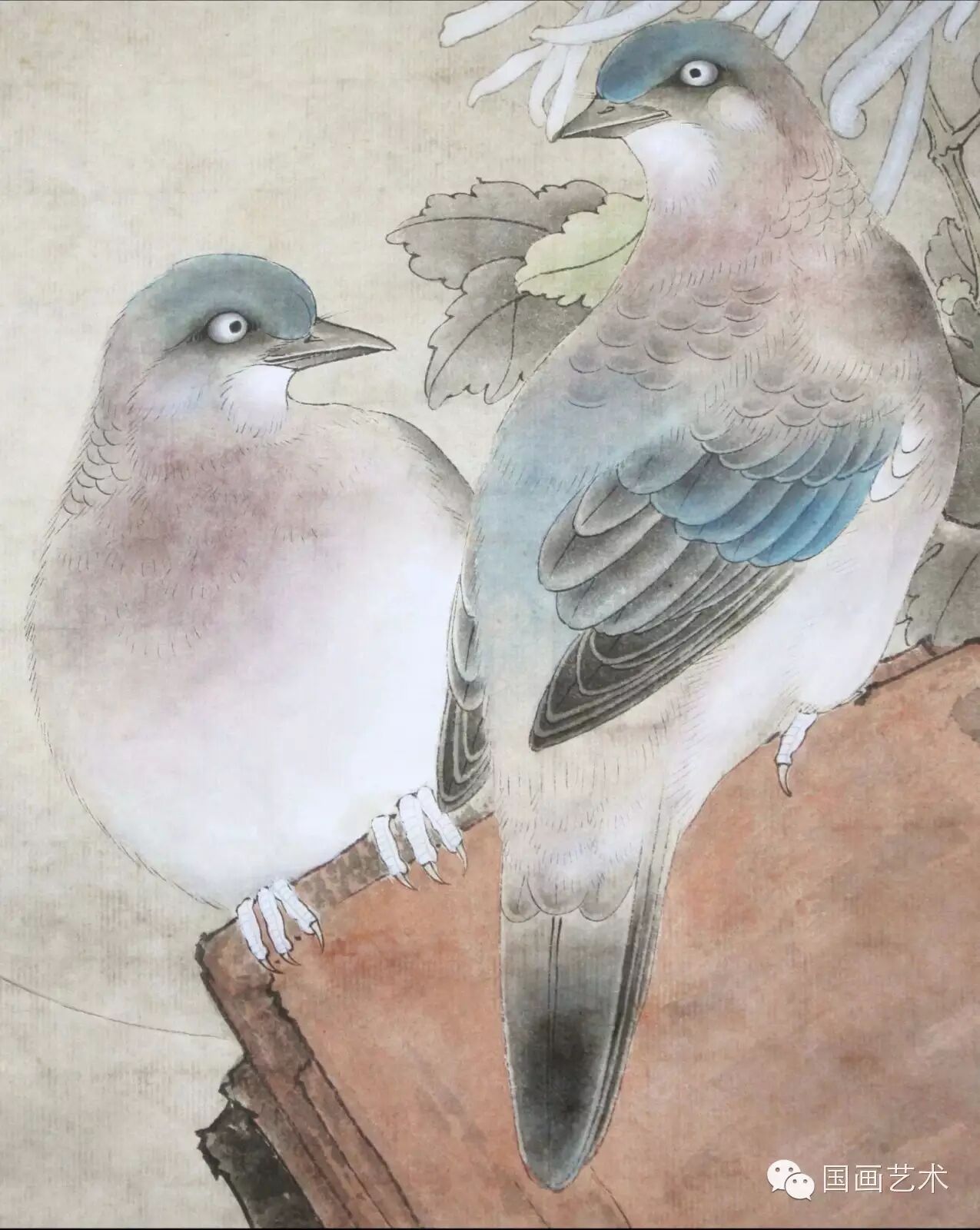 24种鸟类工笔教程