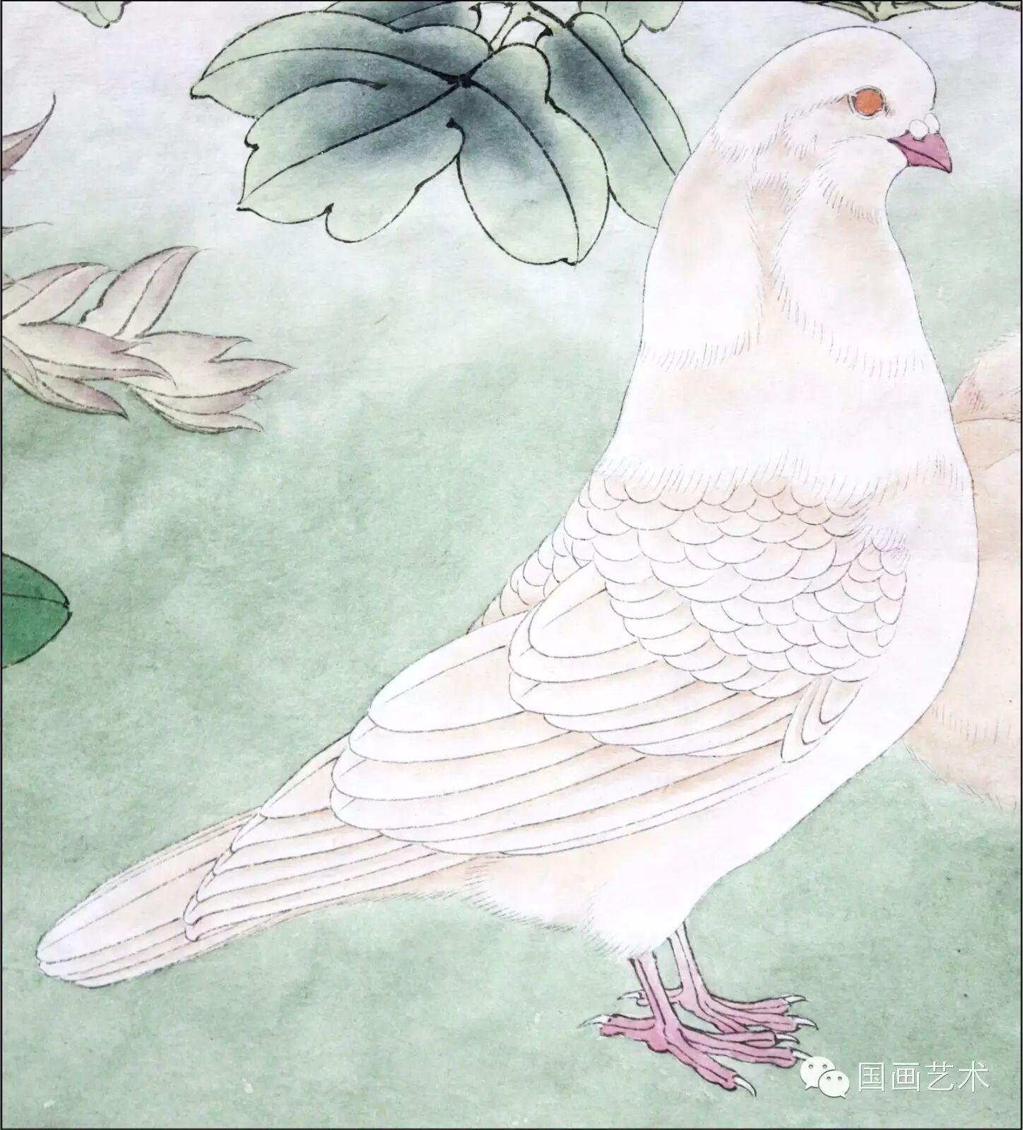 24种鸟类工笔教程