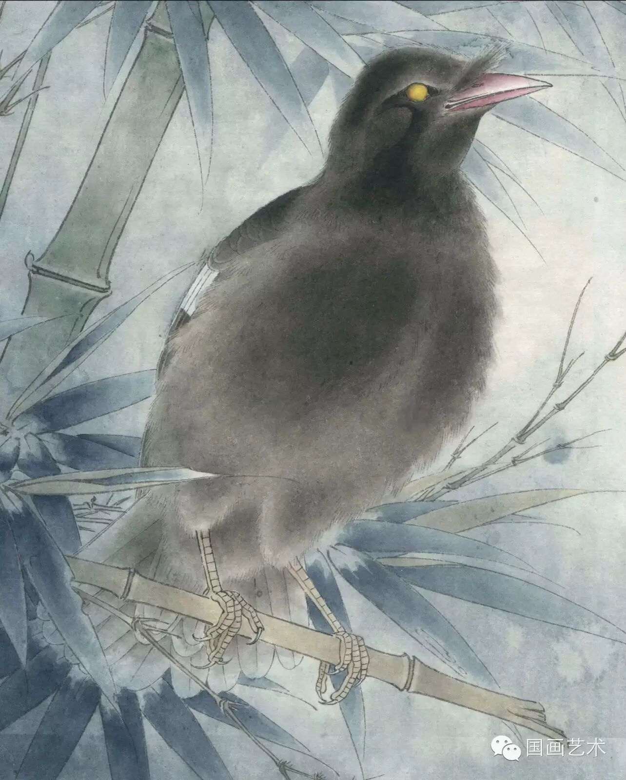 24种鸟类工笔教程