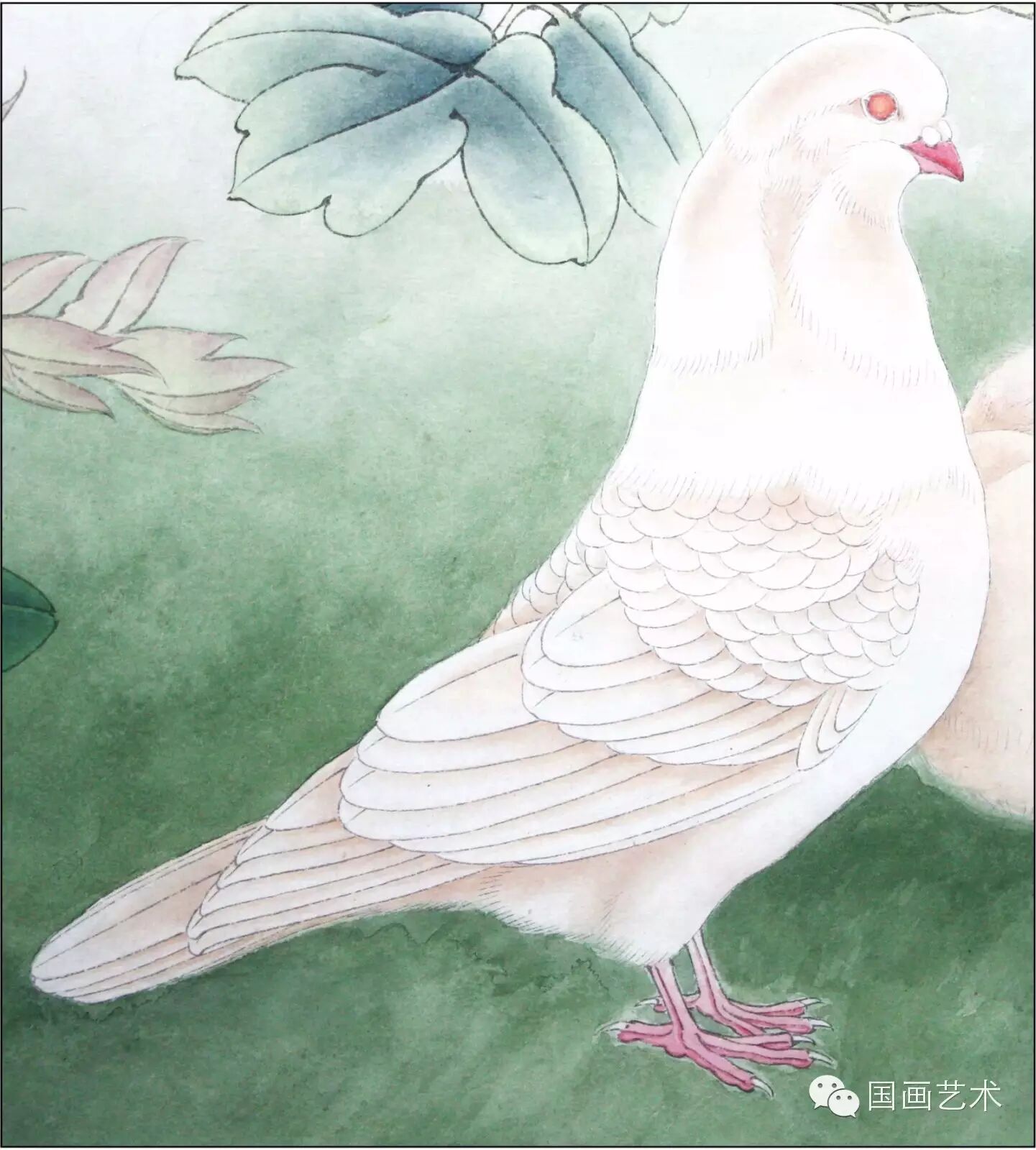 24种鸟类工笔教程