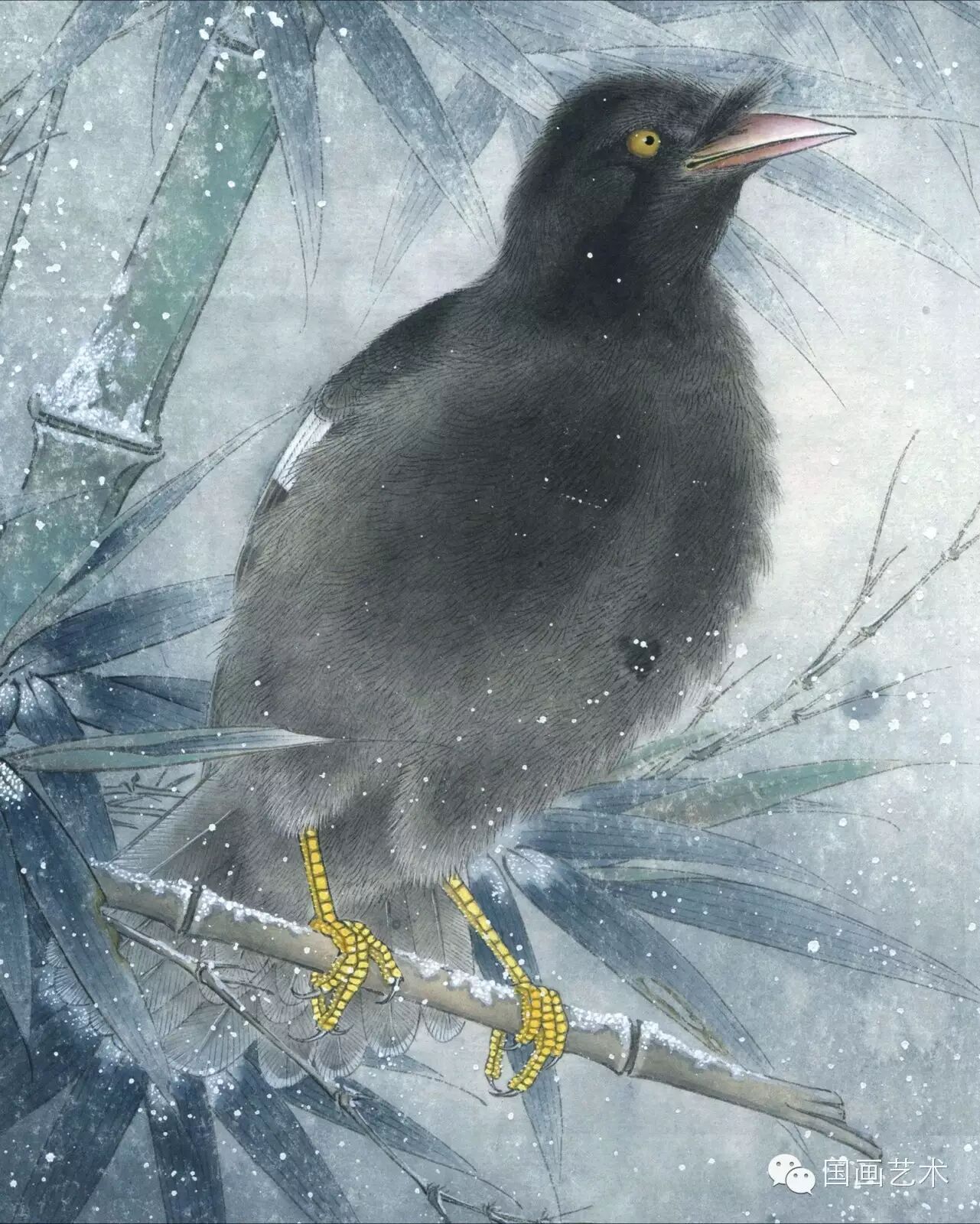 24种鸟类工笔教程