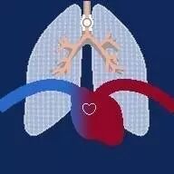 氧气呼吸机怎么用危重病人转运时氧气瓶能用多久？(上篇)了解医用氧气钢瓶_https://www.jmylbn.com_新闻资讯_第18张