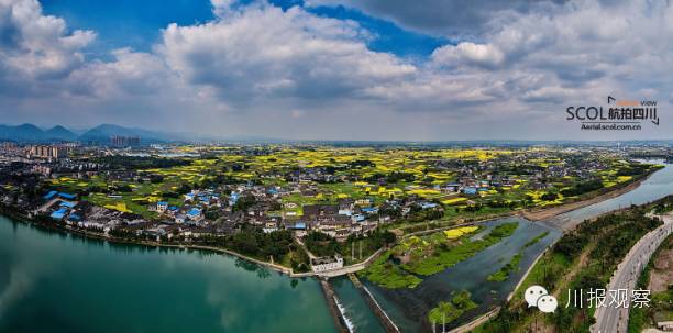 致富经创业项目 农村养殖牛 有奖征集| 回家创业，请让我们分担你的难题