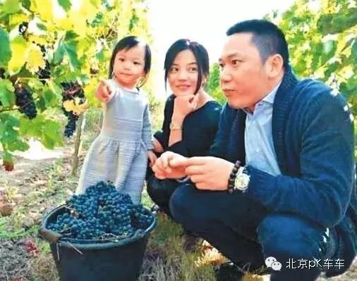 赵薇夫妇身家一年蒸发20亿 因持有股票狂跌