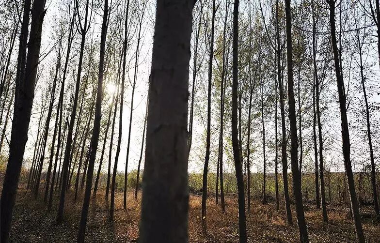 干货满满！最牛婚礼摄影师拍摄锦囊！