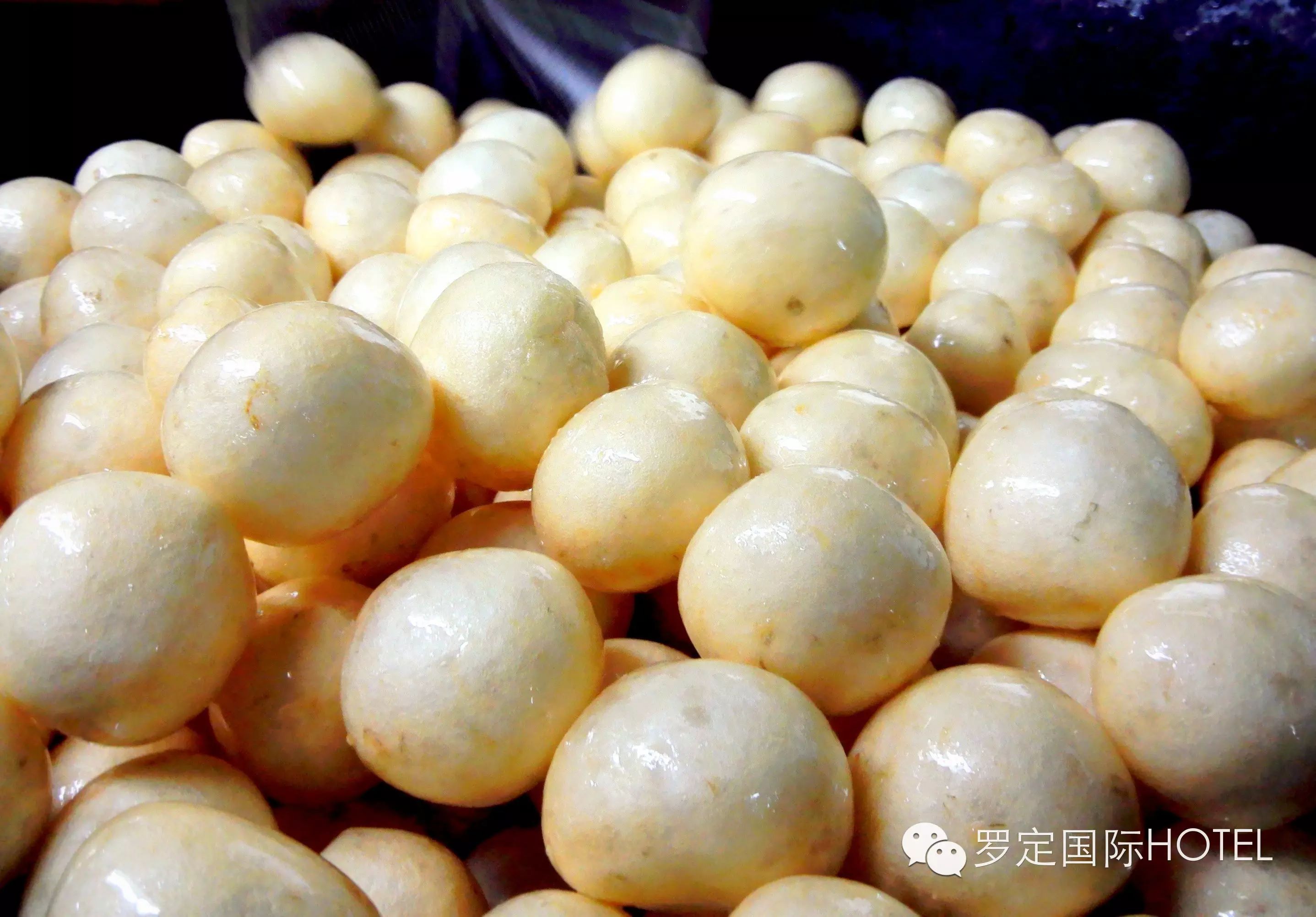 【国际美食】绉纱鱼腐,让你赞不绝口!