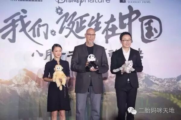 荐片|大熊猫、金丝猴、雪豹萌化二胎哥哥,我们仿佛走进自己的世界!-怀孕期