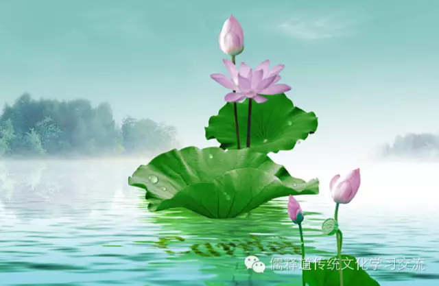 致自己,再难也要坚持 - 阿弥陀佛 - 南无阿弥佗佛 致自己,再难也要坚持 - 阿弥陀佛 - 南无阿弥佗佛