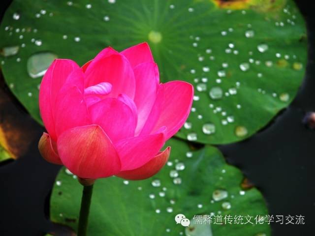 致自己,再难也要坚持 - 阿弥陀佛 - 南无阿弥佗佛 致自己,再难也要坚持 - 阿弥陀佛 - 南无阿弥佗佛