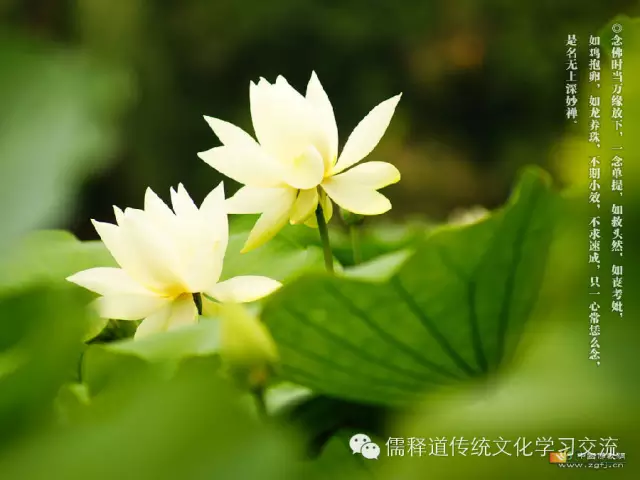 致自己,再难也要坚持 - 阿弥陀佛 - 南无阿弥佗佛 致自己,再难也要坚持 - 阿弥陀佛 - 南无阿弥佗佛