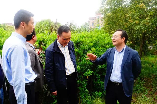 跟着检查组，去看看浦沿“全域景观化”目标功成几许？