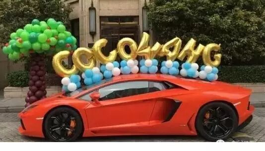 谁的兰博基尼这么炫?王思聪......家的狗!