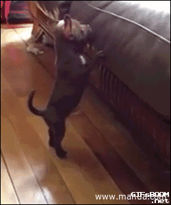 我去,尼玛的这么有弹性