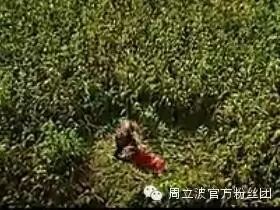 田震,就是舒服啊!