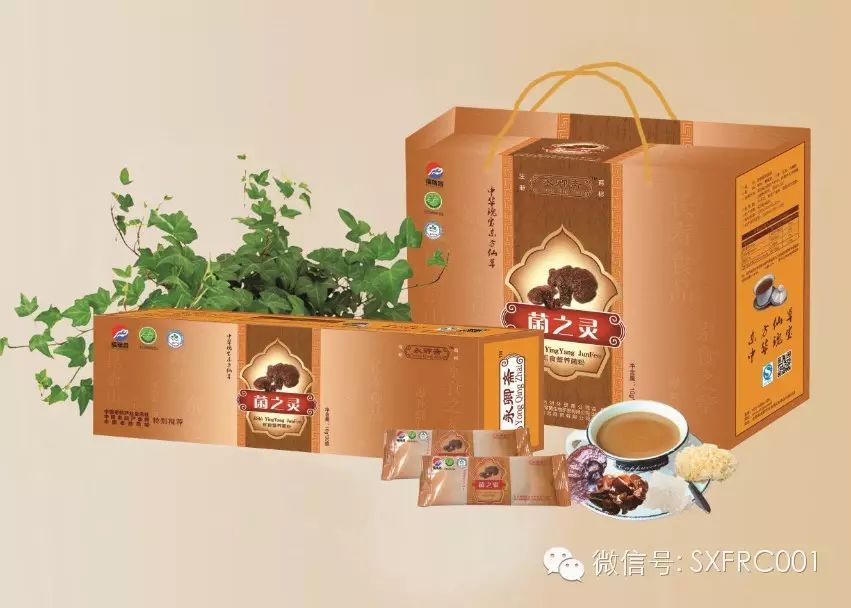 ��֥��˿�۵ġ�ʮ���Ϊʲô������ƪ