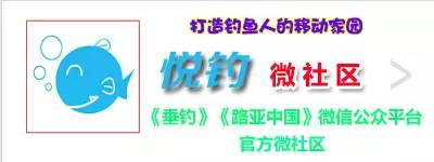 怀孕鲨鱼南非沙滩死亡 男子为其剖腹产3条幼鲨