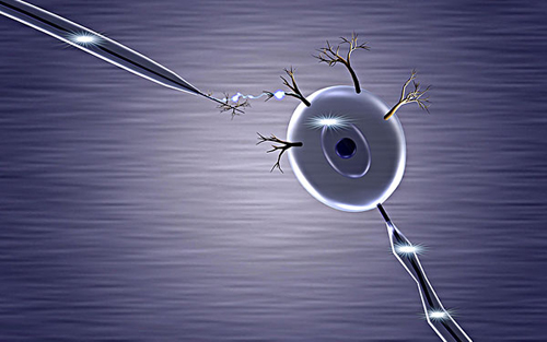 Nature子刊挑战数十年免疫老观点