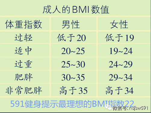 健身知识基础代谢率bmi体脂肪率肌肉量体水分率这些都是什么