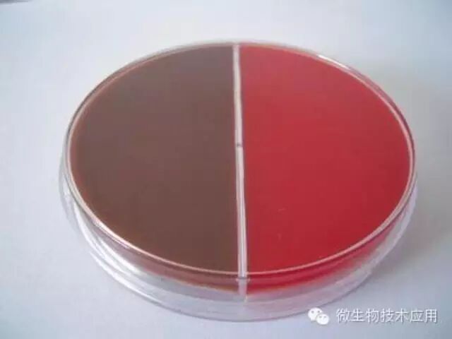 工业发酵中微生物菌种的培养基选择和配制的原则