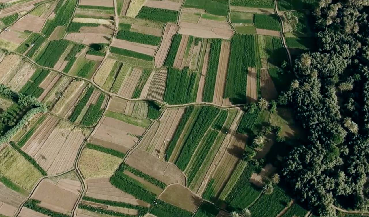 技術(shù)創(chuàng)造價值，服務(wù)生產(chǎn)生活，我是極飛 