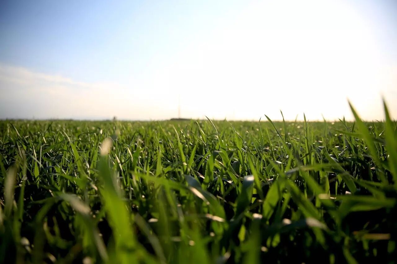 是什么讓極飛無人機P20 V2飛行航線的偏移比銀行卡還??？