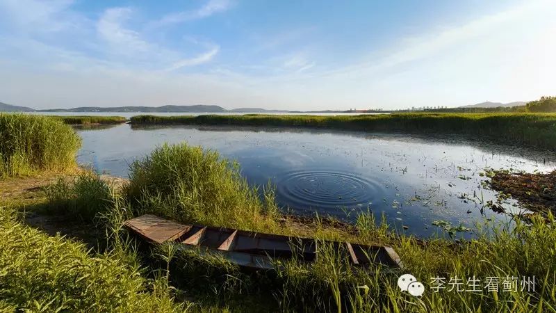 于桥水库湿地