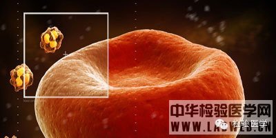 男人必做7项能救命的血液检查