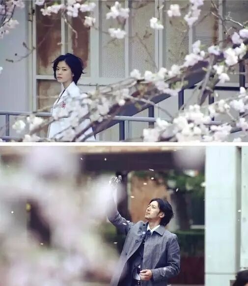 日剧好看深夜剧_英剧美剧日剧韩剧国剧港剧_日剧开车最多的电视剧