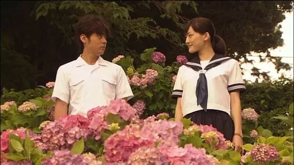 日剧开车最多的电视剧_英剧美剧日剧韩剧国剧港剧_日剧好看深夜剧