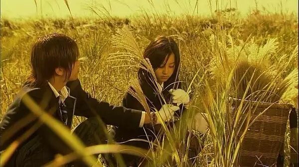 英剧美剧日剧韩剧国剧港剧_日剧开车最多的电视剧_日剧好看深夜剧