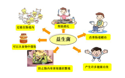 天津从乳制品商家买的益生菌能存活吗？