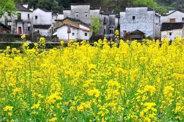 别去三亚挤了！清明拼假6天，我私藏的宝藏小城好吃到飞起，美到失语！
