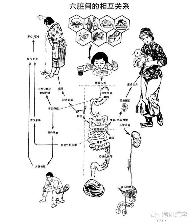 六腑之间的相互关系(资料图:图源网络)奇恒之腑脑,髓,骨,脉,胆,女子胞