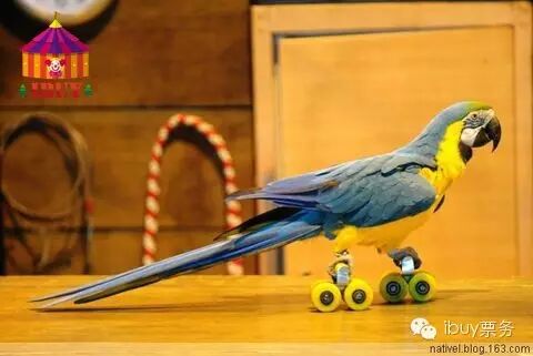 “二胎时代”再生一个出来作妖?几招教你搞定熊孩子!-怀孕期