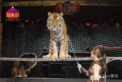 “二胎时代”再生一个出来作妖?几招教你搞定熊孩子!-怀孕期