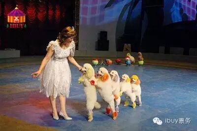 “二胎时代”再生一个出来作妖?几招教你搞定熊孩子!-怀孕期