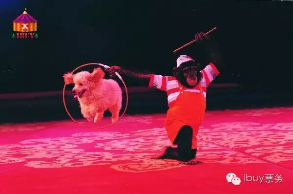 “二胎时代”再生一个出来作妖?几招教你搞定熊孩子!-怀孕期