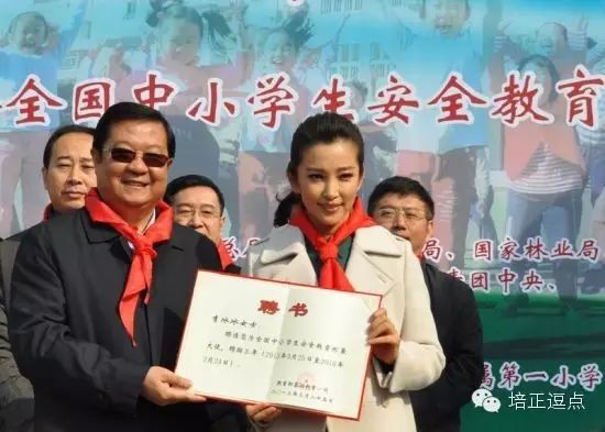 李冰冰与你一起安全“童”行  活动