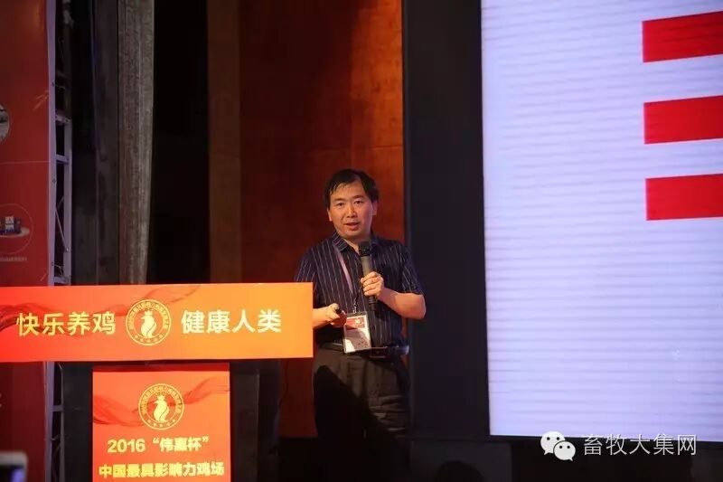 为国民操碎心的不只文人骚客，还有我们蛋鸡人